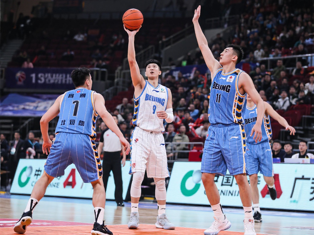 人才培养体 人才培养体